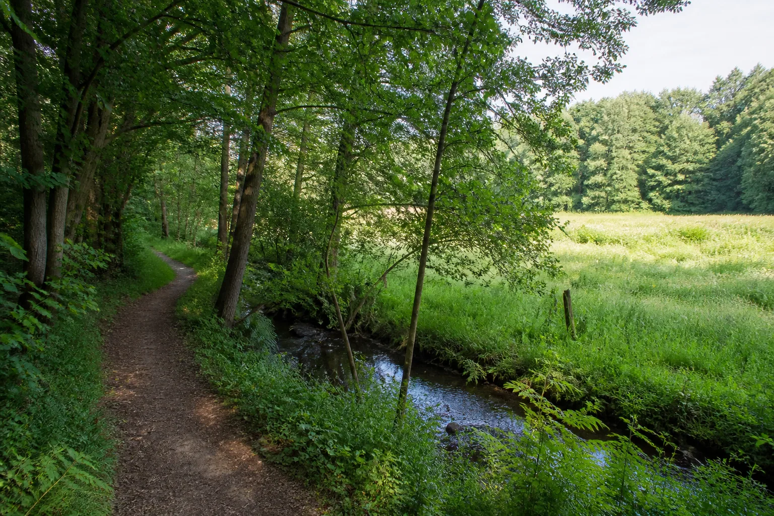 Cappenberger Wald beim Wandern in Werne