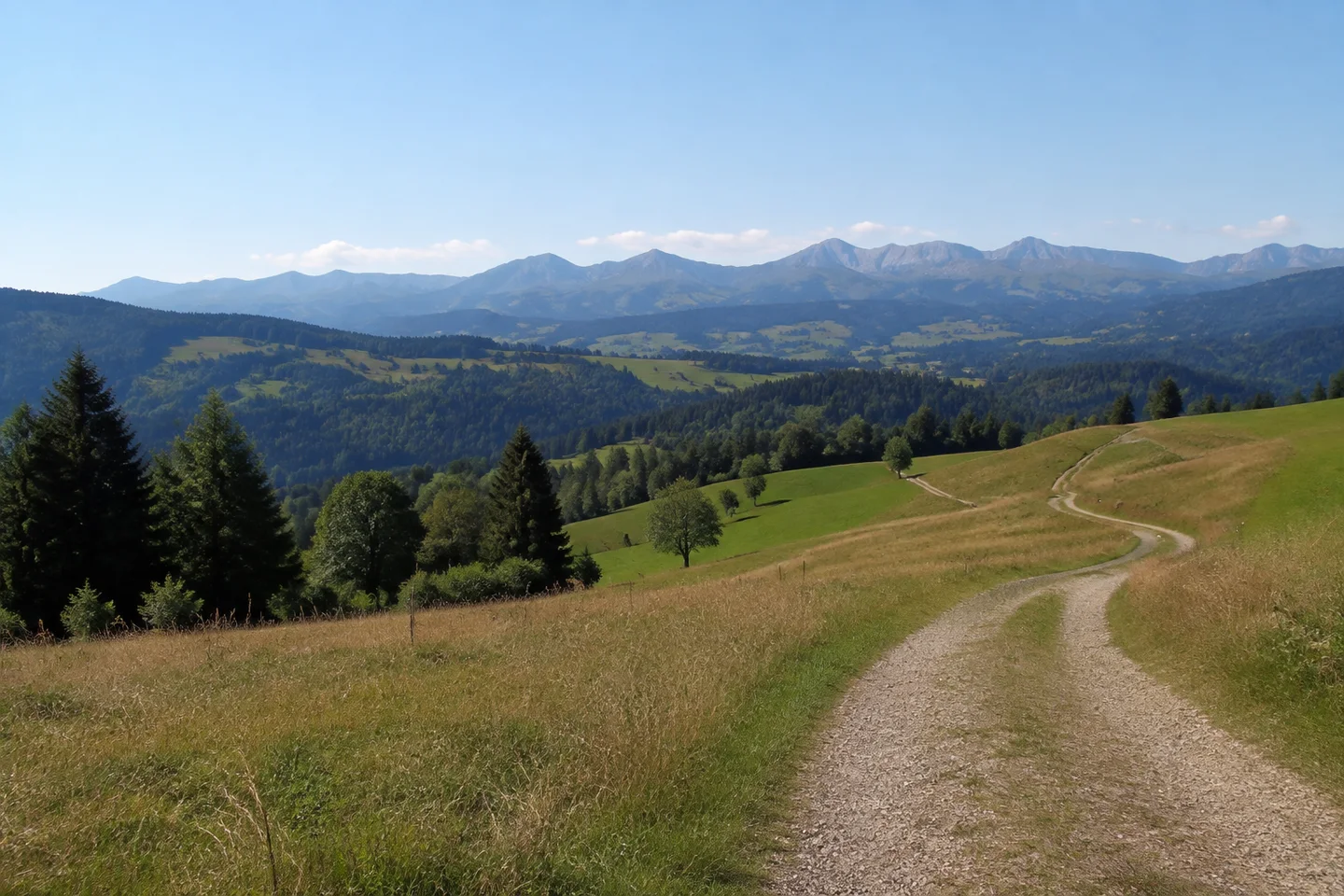 Oberellegg: aussichtsreiche offene Grasanhöhe mit Feldweg und entferntem Alpenpanorama