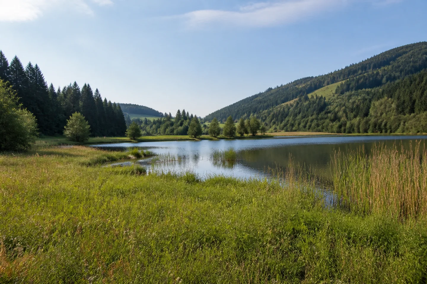 Bichel bei Wertach: feuchte Wiesen am Rand eines ruhigen Voralpensees, Schilf und bewaldete sanfte Hänge