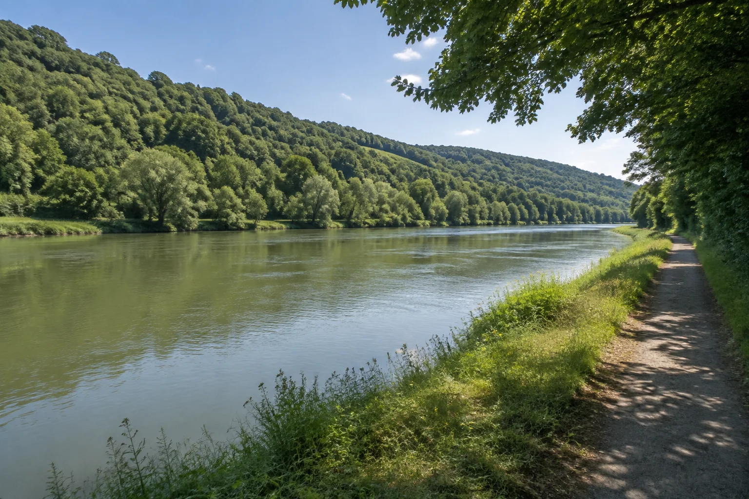 Main bei Urphar: breiter ruhiger Fluss, regulärer Uferweg und bewaldete Hänge auf der gegenüberliegenden Seite.