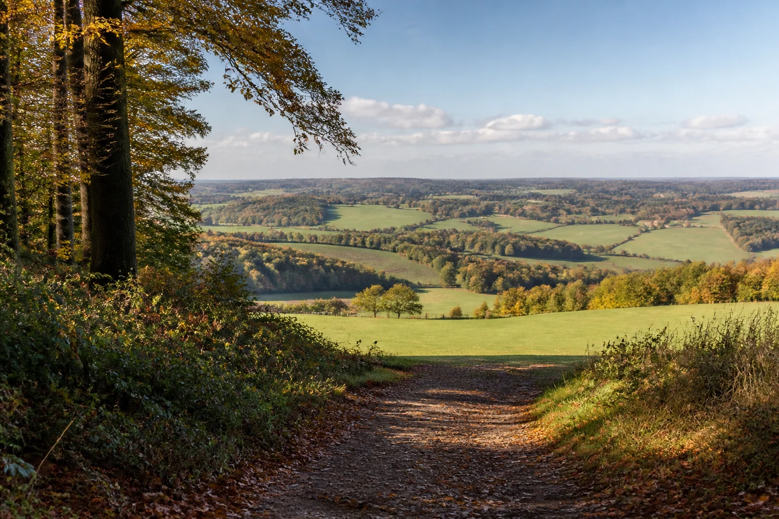 Werther (Westfalen): Wald- und Wiesenweg am Hengeberg bei Werther