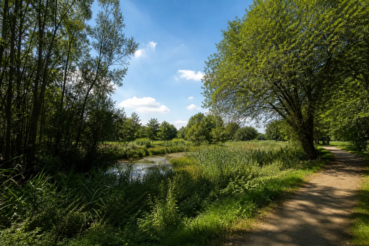 Landschaftspark Entenfang in Wesseling