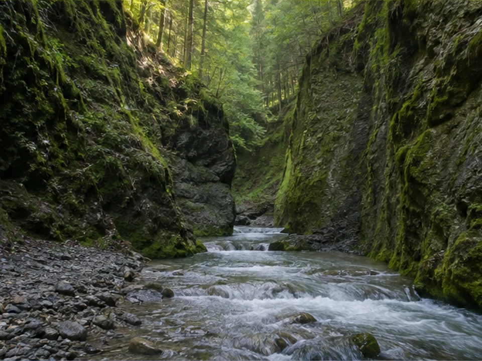 Hausbachklamm: moosige Nagelfluhwände an einem Waldbach