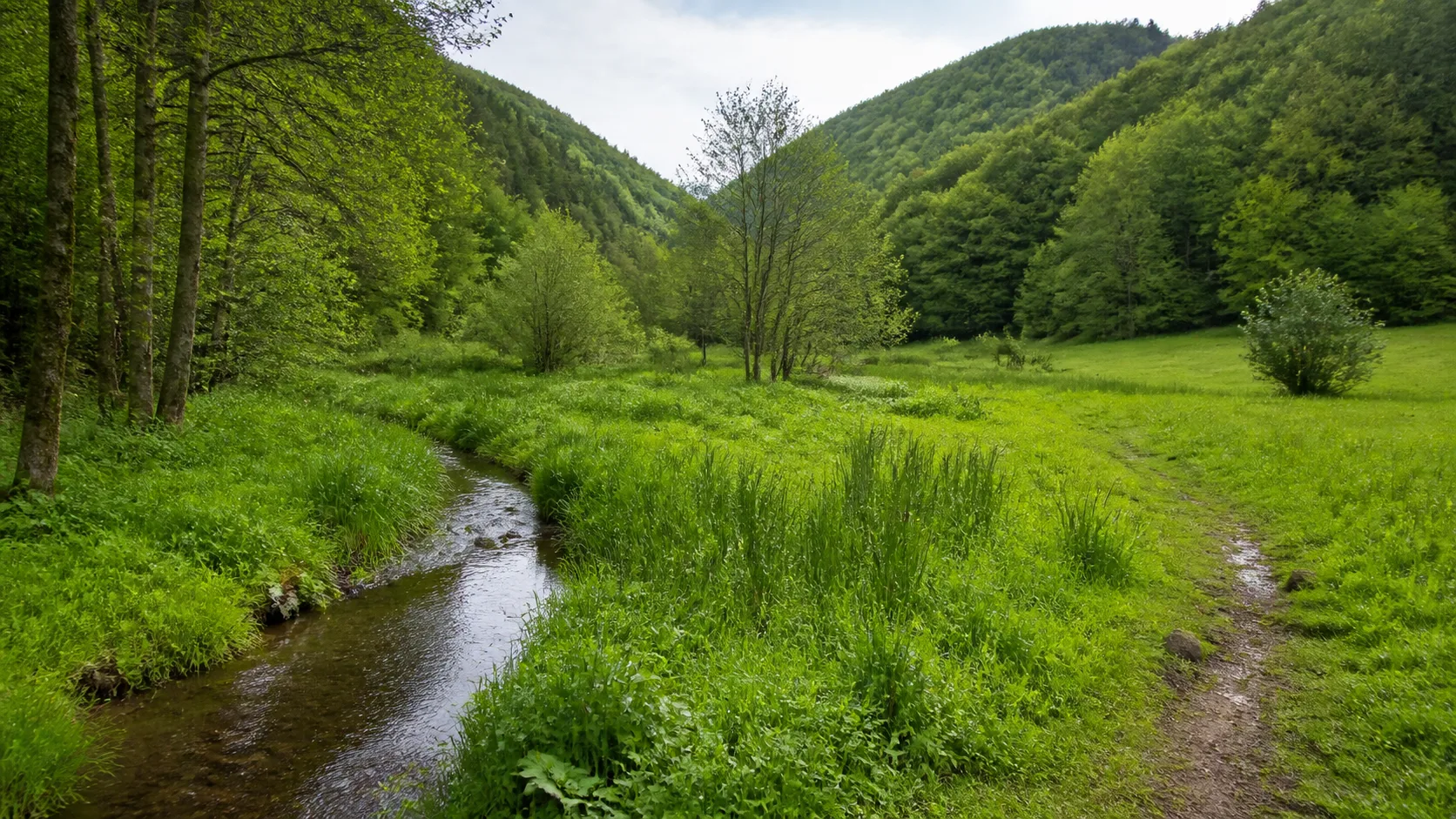 Bachtal der Mettmecke