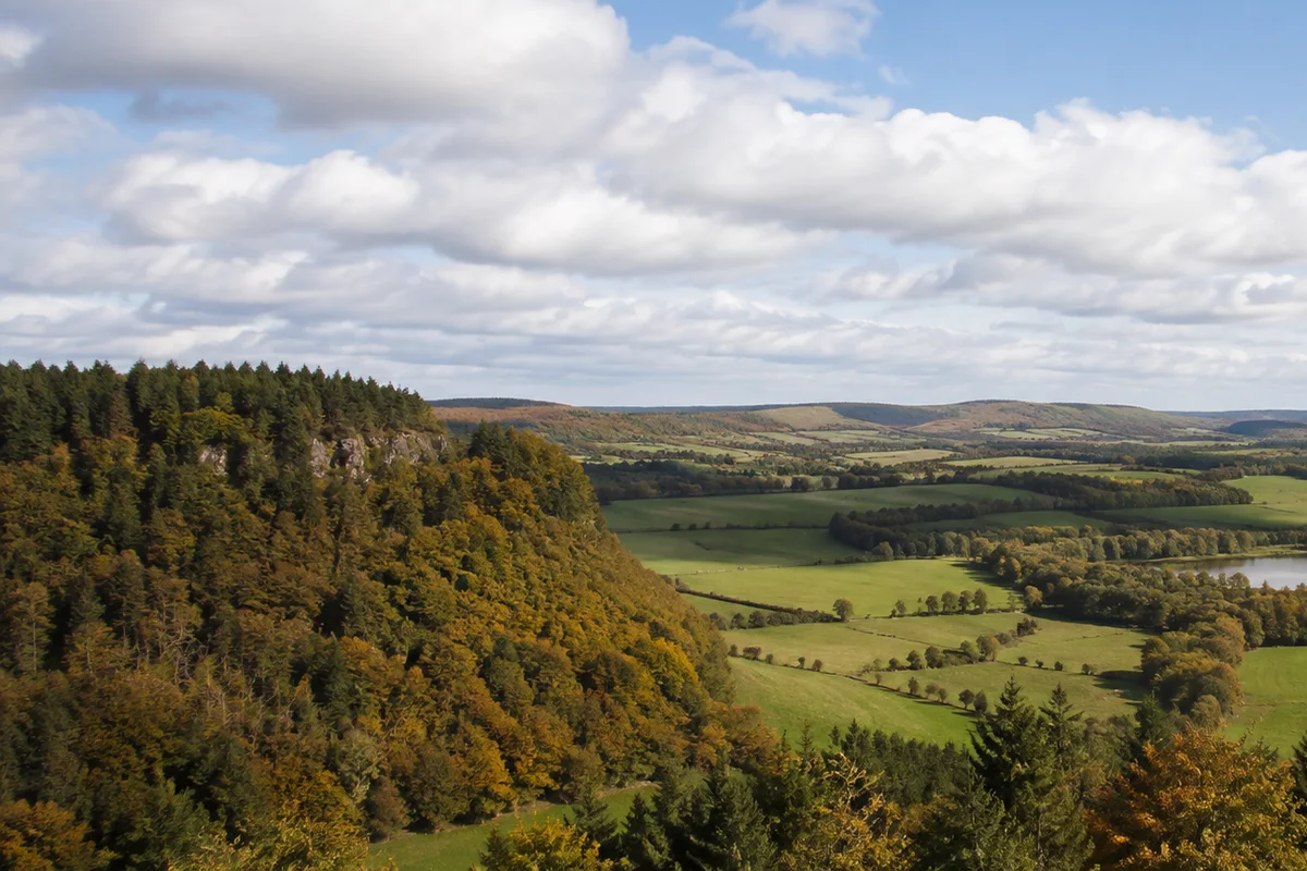 Hoher Westerwald: offene windige Hochflächen