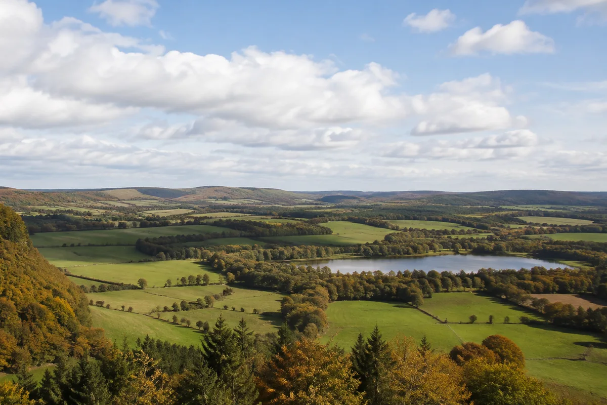 Westerwälder Wald: Mischwald und kleine Bachtäler
