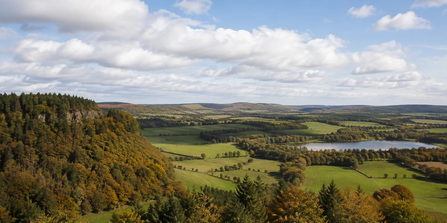 Westerwald: Montabaur: Westerwald: weite Basalthochfläche mit Wiesen, Hecken und Wald