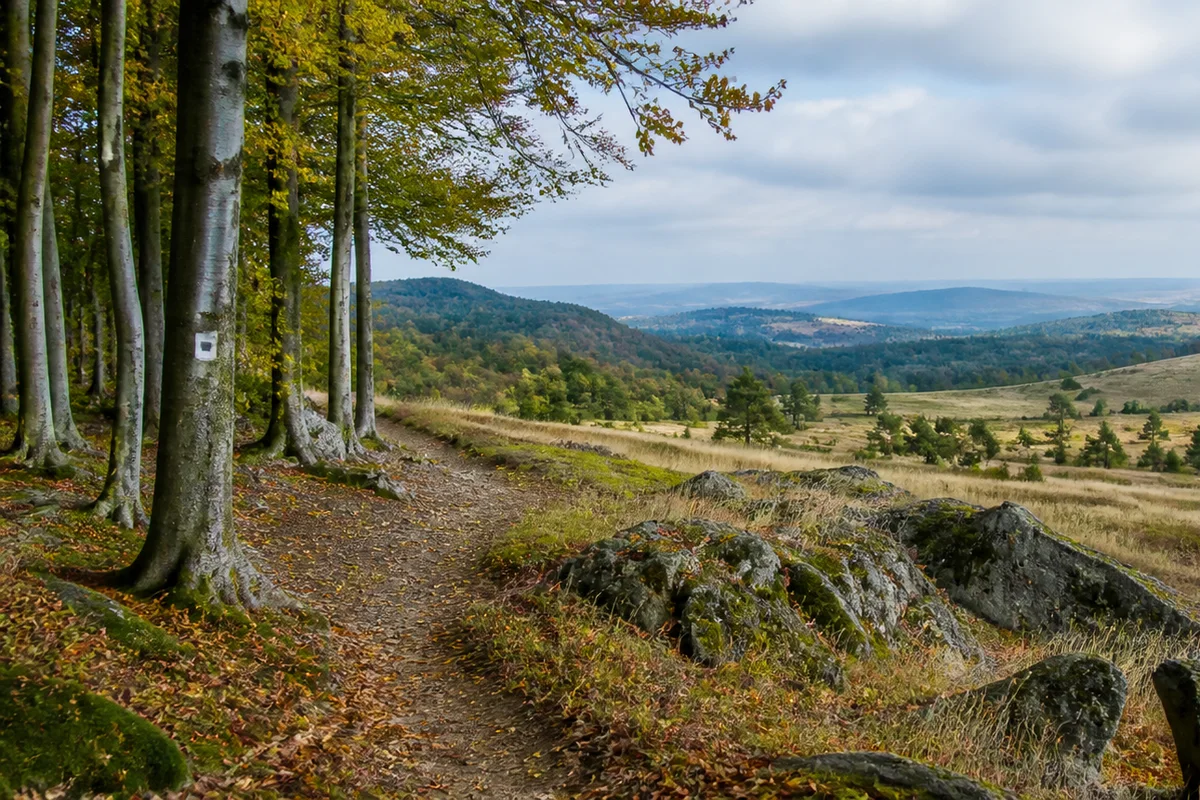 Hoher Westerwald: offene Höhen am Fernweg