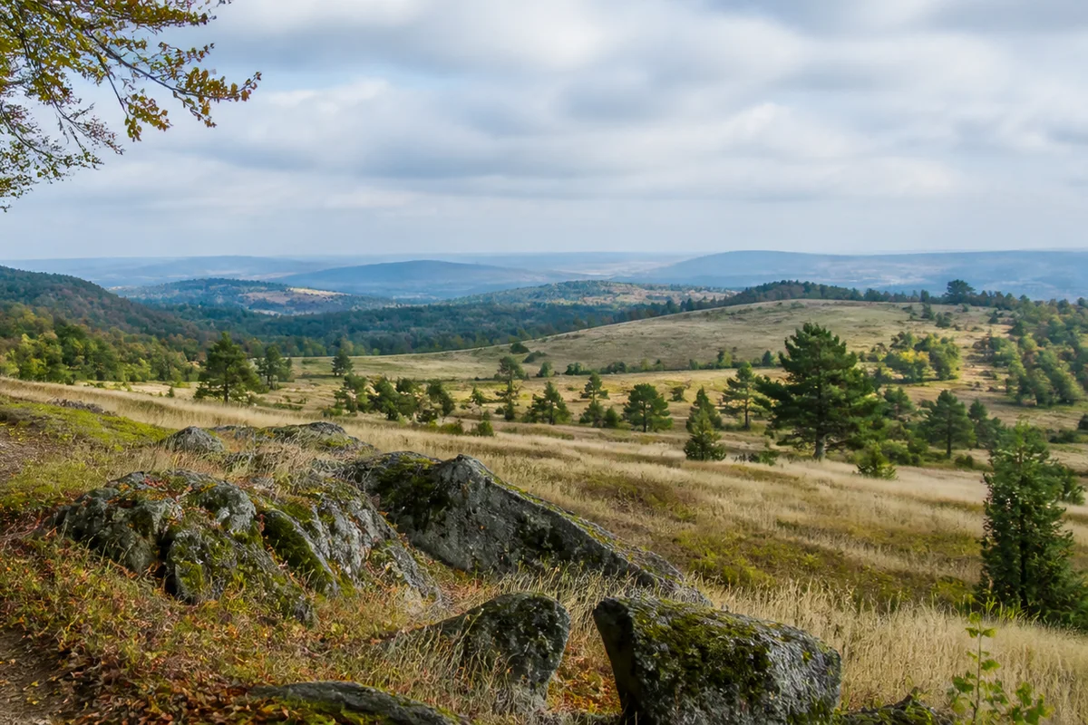 Rhein-Westerwald: bewaldete Täler vor dem Rhein