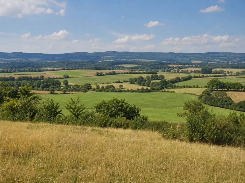Feldflur bei Garbenheim: Sanft ansteigende Felder und grüne Wiesen mit Hecken und weitem Mittelgebirgshorizont