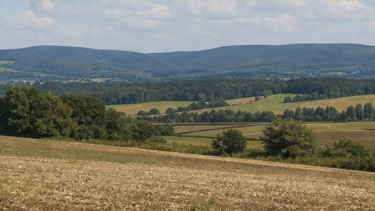Feldweg auf dem Haarstrang