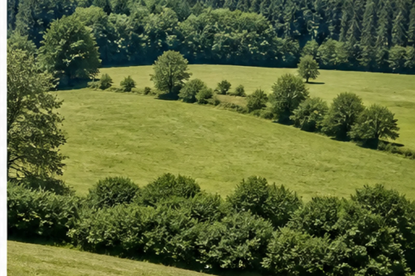 Wiesenlandschaft bei Marienhagen