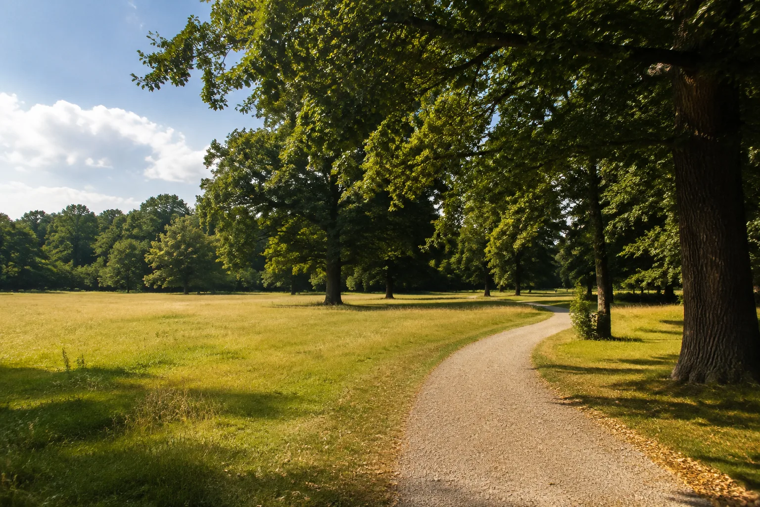 Wiesenburg/Mark: Wiesenburg / Schlosspark: Wiesenburger Landschaftspark: alter Laubbaumbestand um offene Parkwiesen mit geschwungenem Kiesweg