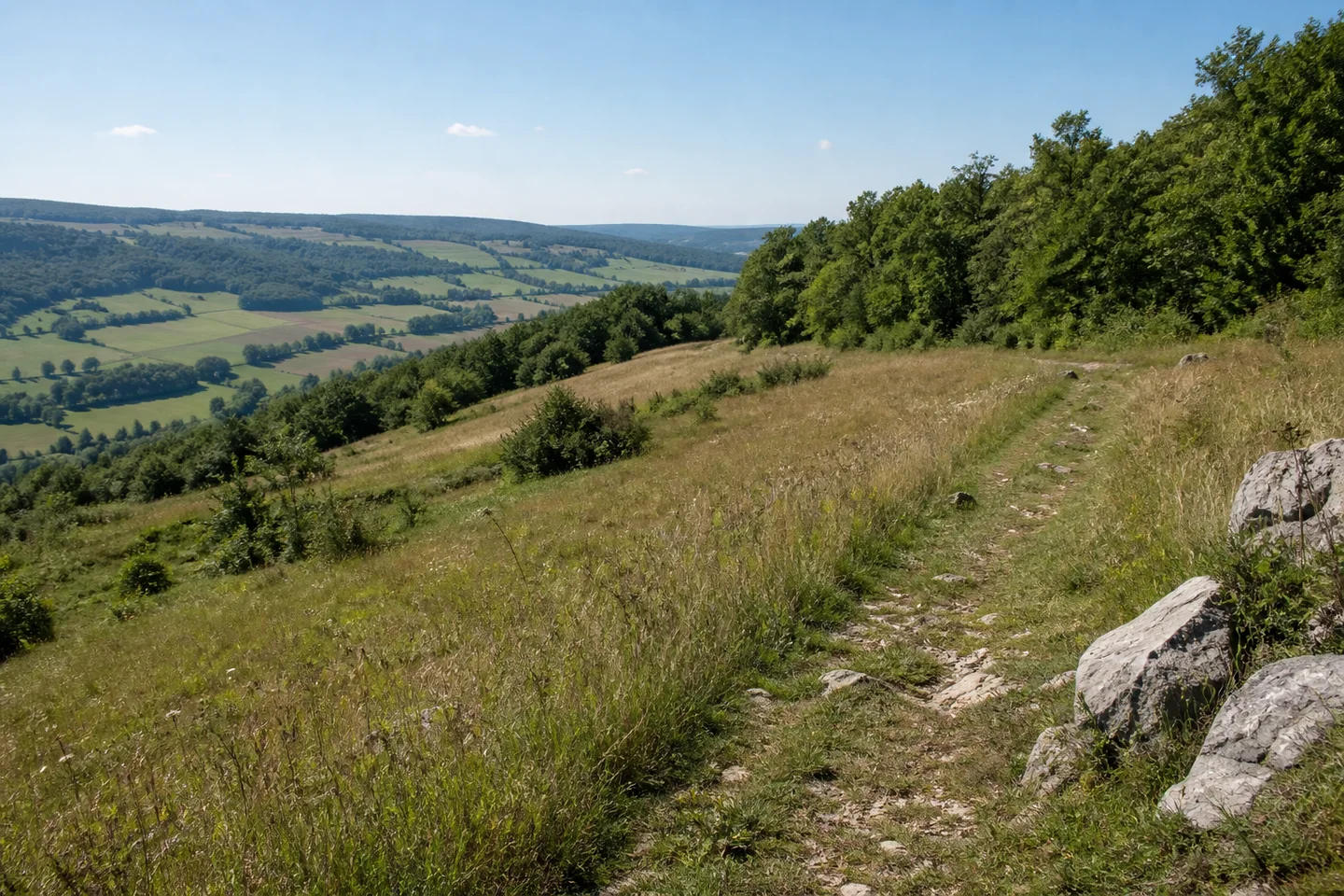 Höhenweg über offene Wiesen bei Engelhardsberg, kleine Feldparzellen und Laubwald, einzelne Kalksteine am Wegrand, sanft welliger Horizont.