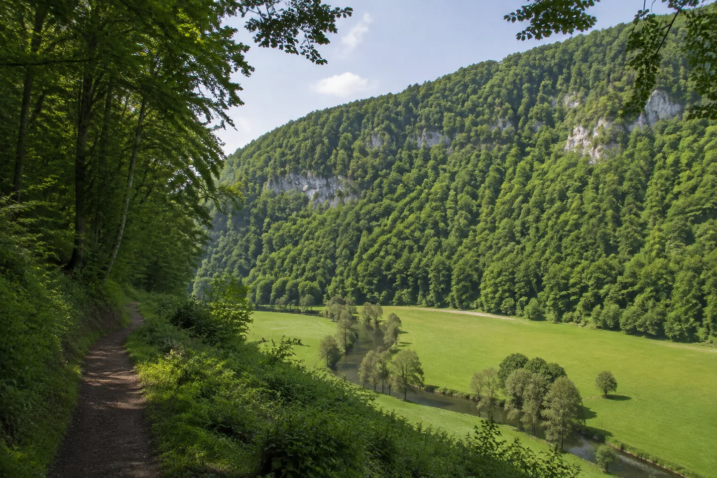 Wiesenttal: Wiesenttal bei Muggendorf von einem sicheren Waldweg aus gesehen: sattgrüne Talwiesen, schmaler Fluss unten und steile laubwaldbedeckte Kalkhänge gegenüber.