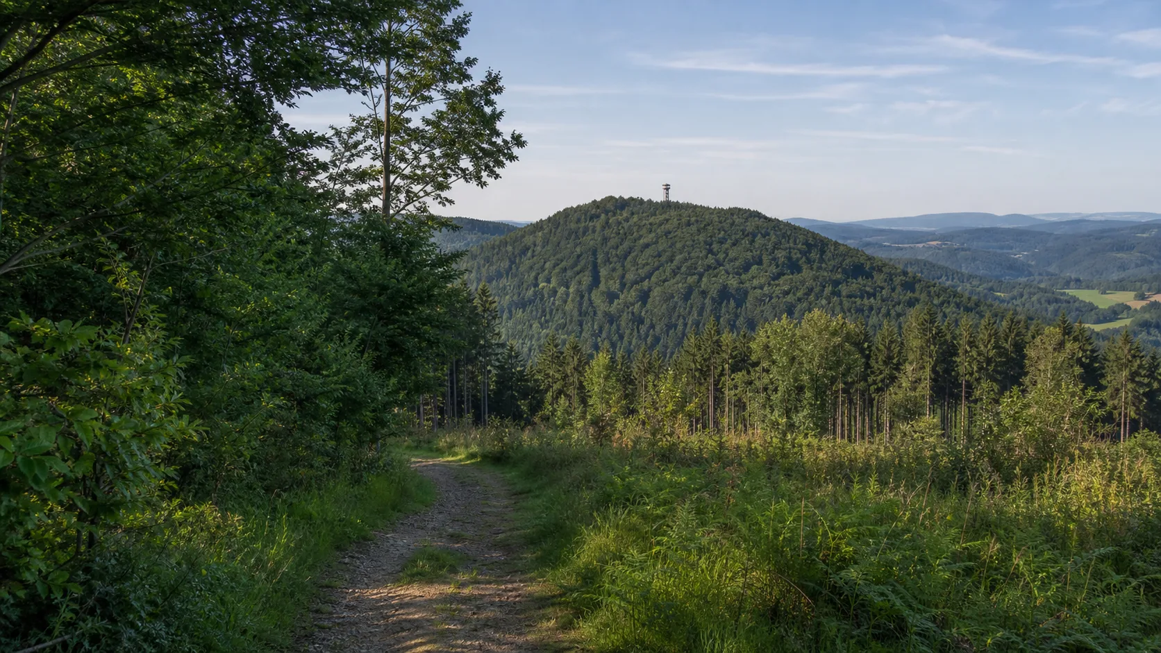 Aussichtspfad am Schomberg
