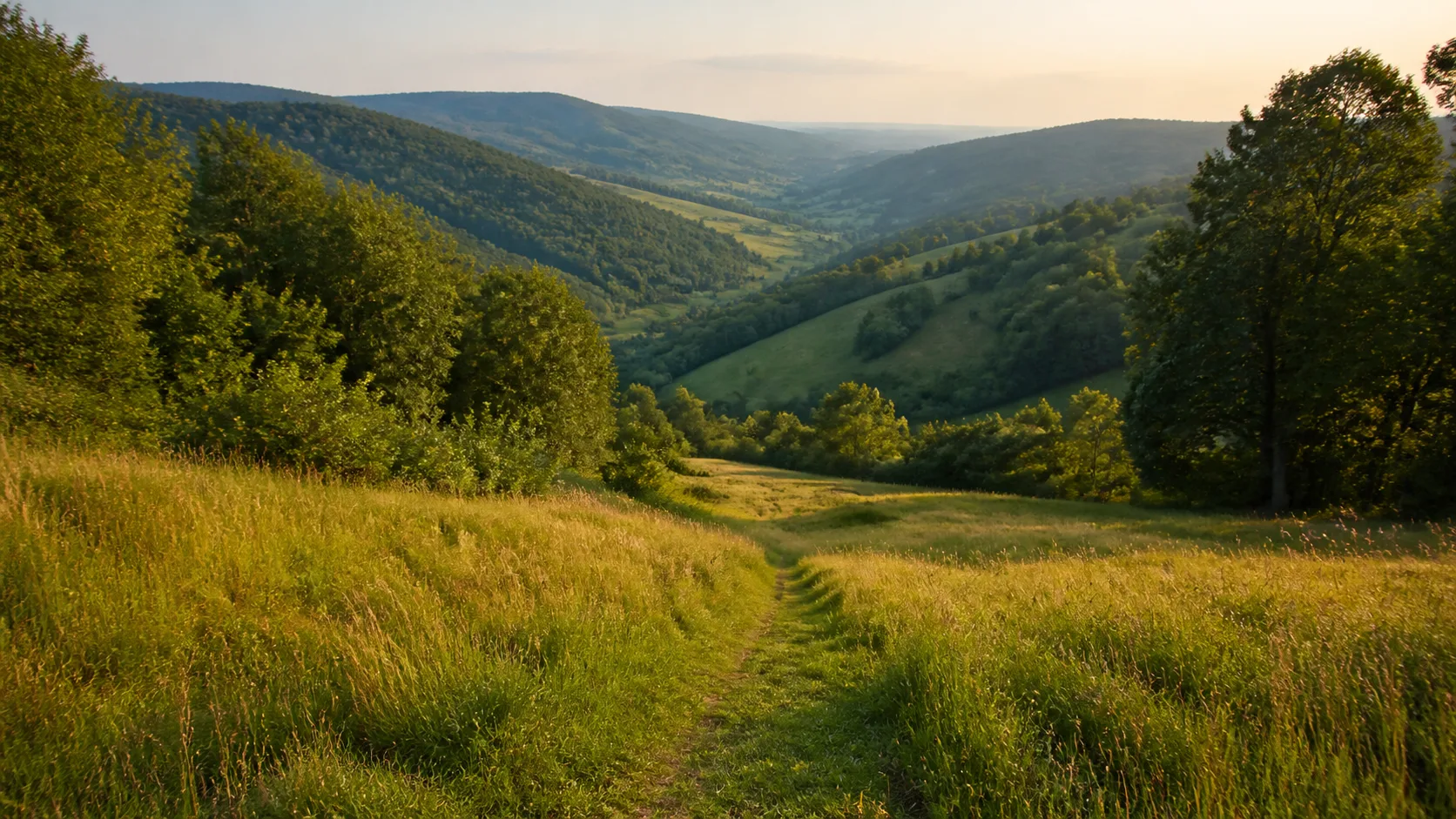 Sauerland-Höhenflug bei Wildewiese