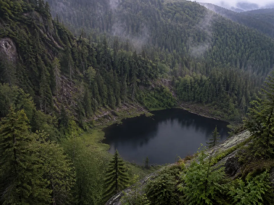 Wildseeblick: Tiefblick vom Grindenhang auf den dunklen See
