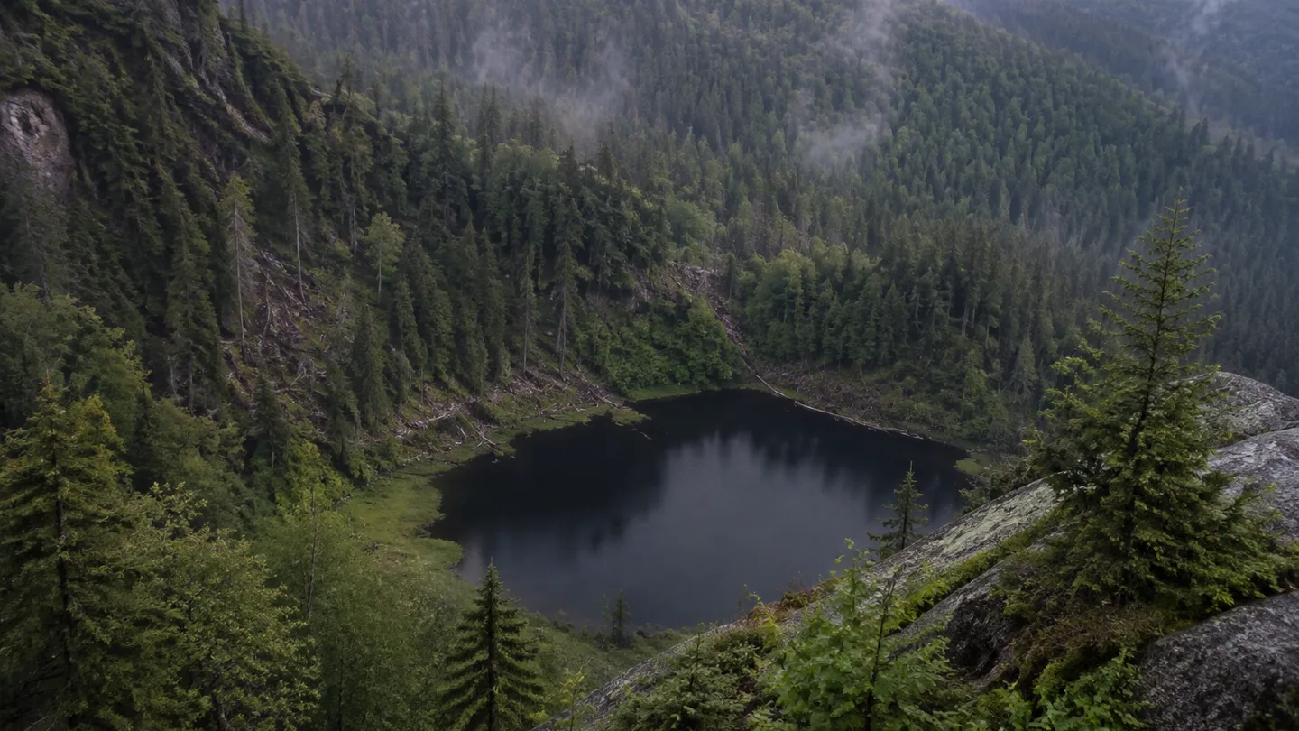 Wildsee am Ruhestein: Wildsee am Ruhestein: dunkler Karsee tief in einem urwüchsigen Bannwaldkessel