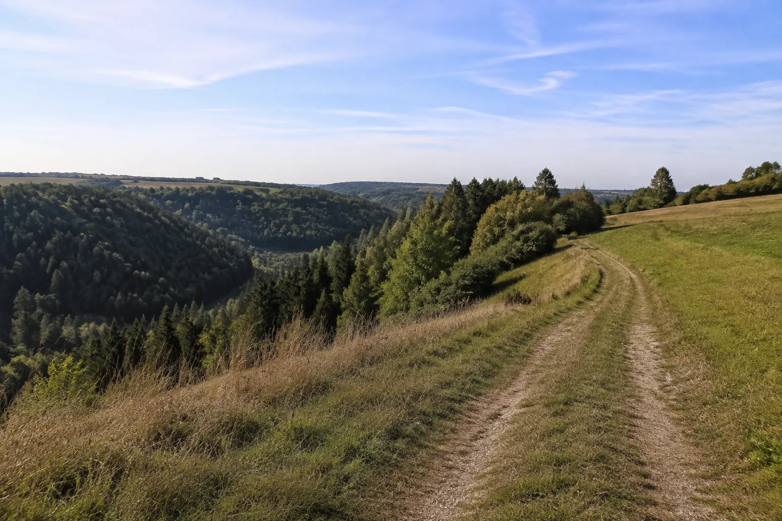 Bernsteiner Höhe: offener Feldweg über Wiesen oberhalb eines tief eingeschnittenen bewaldeten Tals.