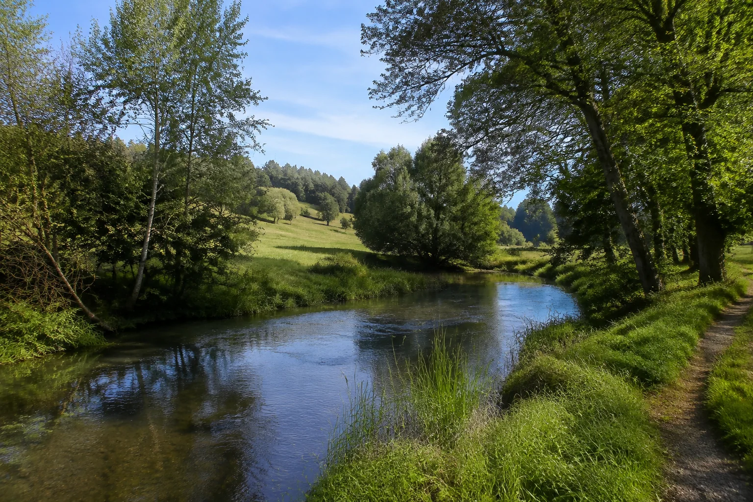 Fichtelnaab bei Naabdemenreuth: kleiner Fluss zwischen Uferbäumen und feuchten Wiesen, sanfte Talhänge.