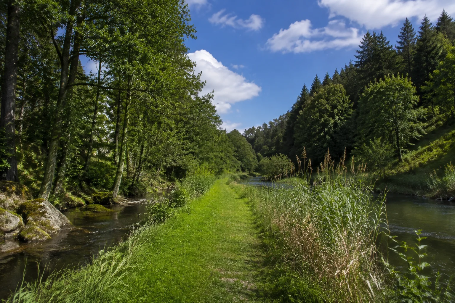 Windischeschenbach: Zusammenflusslandschaft: grüner Uferweg nahe Windischeschenbach zwischen schmalen Flussläufen und bewaldeten Hängen.