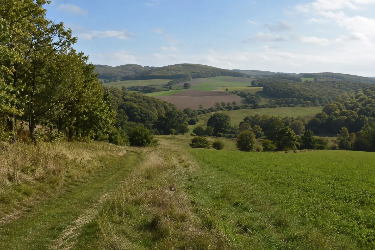 Offene Dorfhöhen bei Potzbach mit Wiesen, Äckern und Laubwaldrändern, sanftes Mittelgebirge.