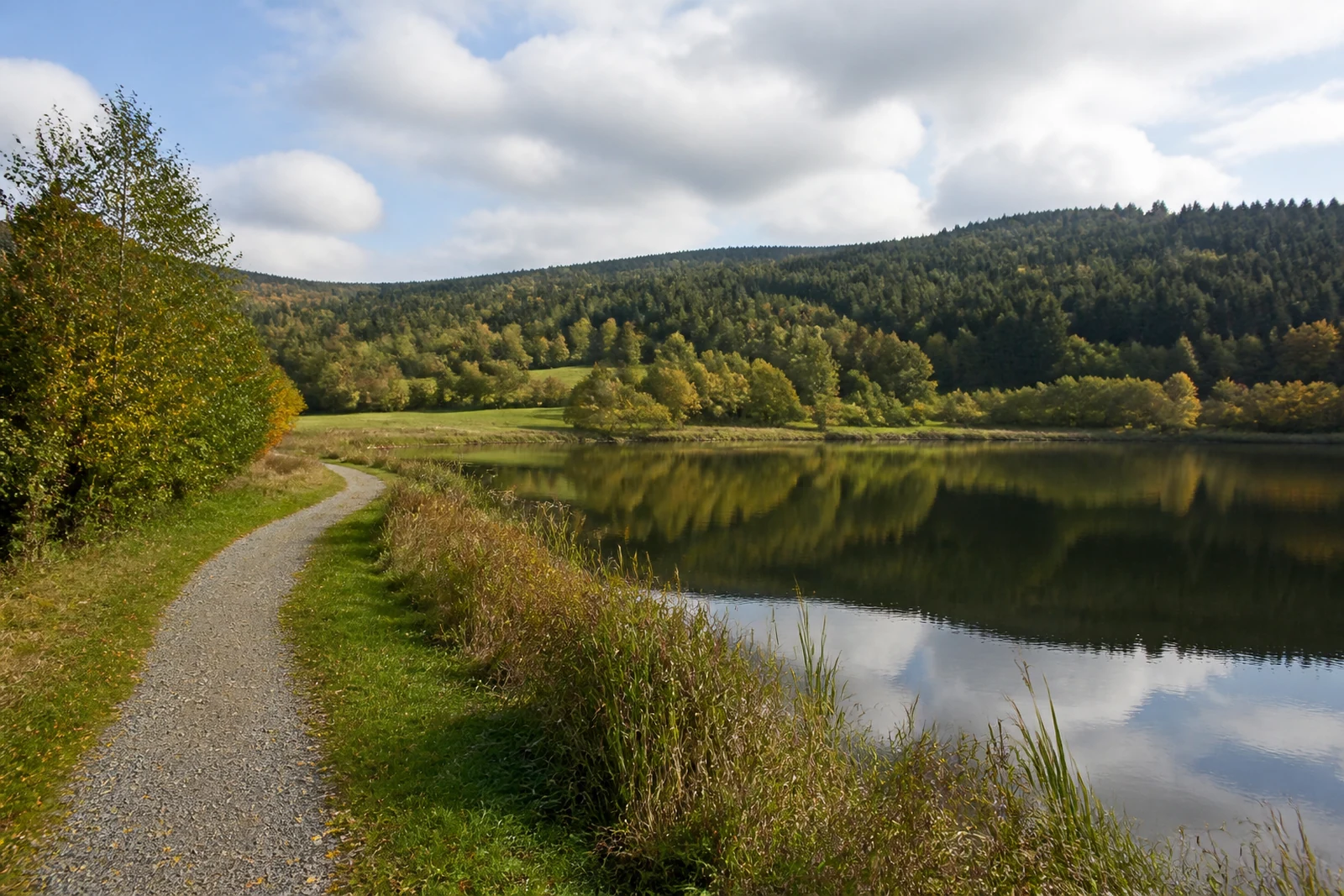 Uferweg am Hillebachsee bei Niedersfeld in Winterberg