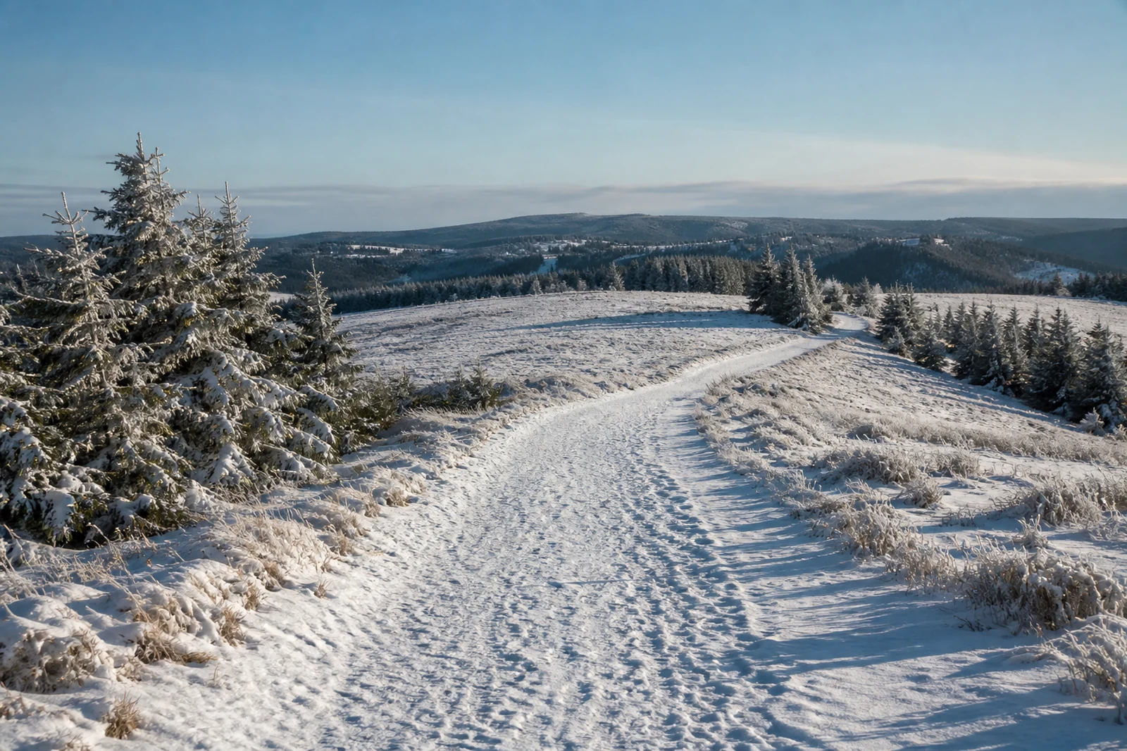 Verschneiter Winterwanderweg auf einer Höhe bei Winterberg