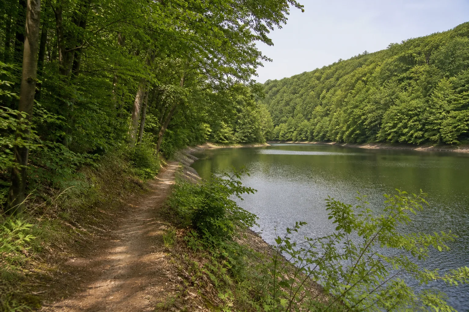Waldweg am Ufer der Neyetalsperre in Wipperfürth