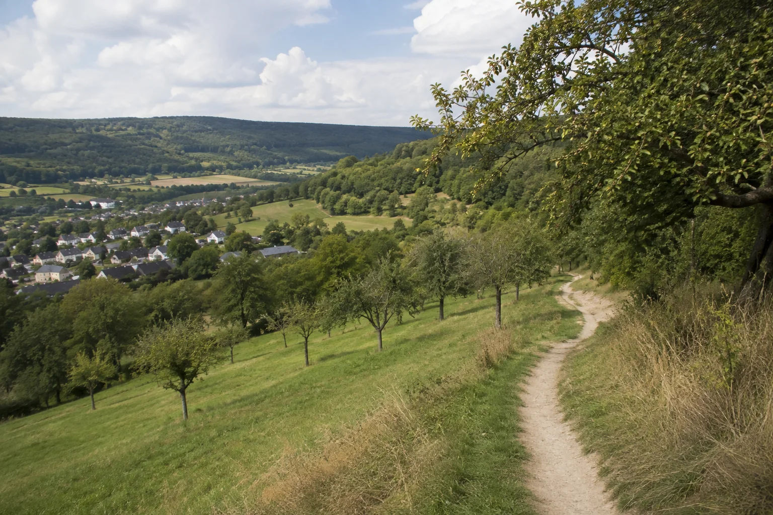Lüxemer Hänge: geschwungener Wiesenweg über dem Dorf mit Obstbäumen und kleinen Waldstücken.