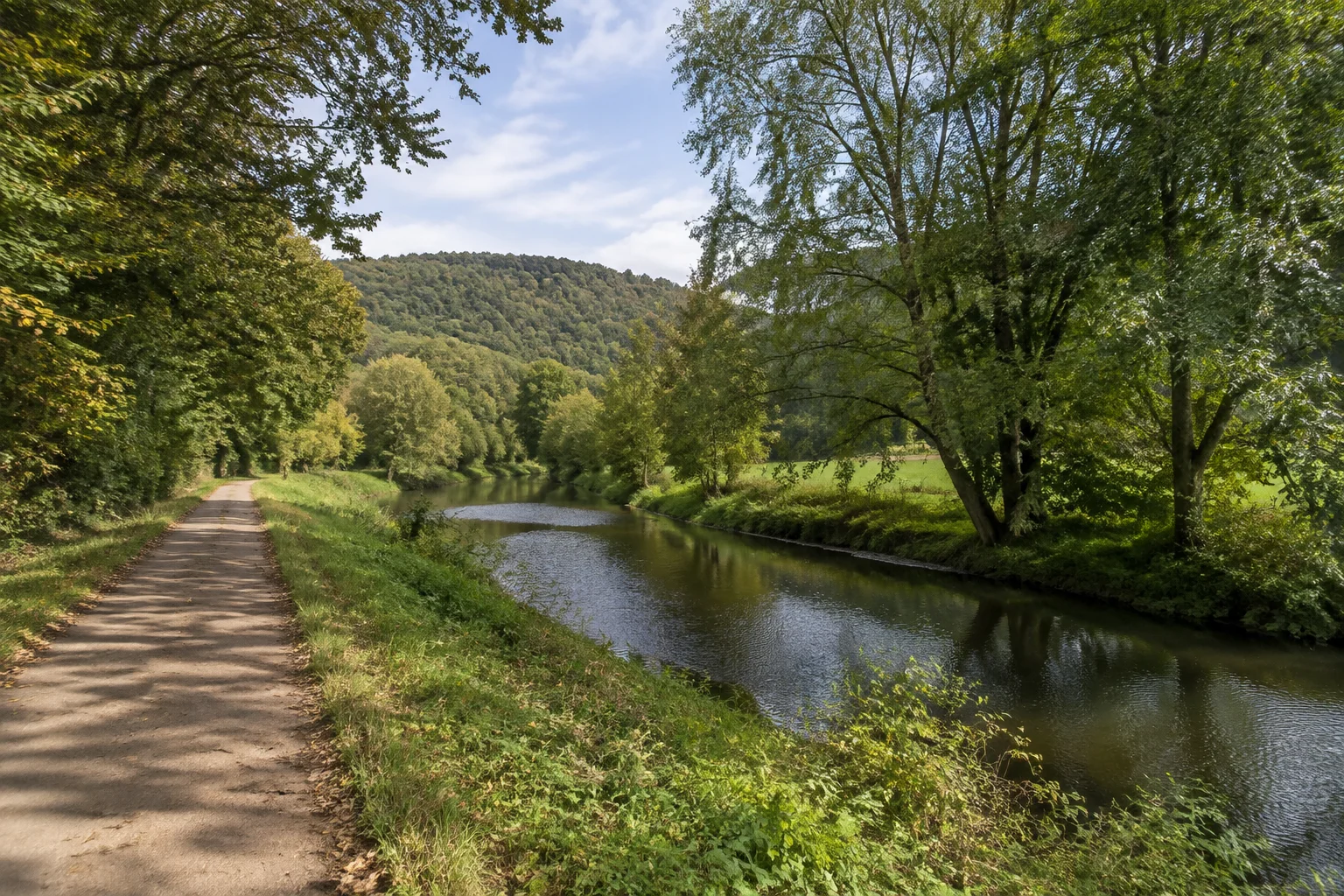 Wittlich: Liesertal bei Wittlich: kleiner Fluss zwischen Uferbäumen und grünen Stadtrandwiesen mit niedrigen Waldhängen.