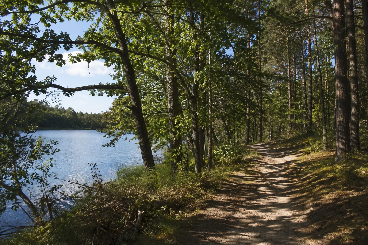 Dranser Waldlandschaft: sandiger Weg unter Kiefern und Buchen an einer ruhigen kleinen Seebucht