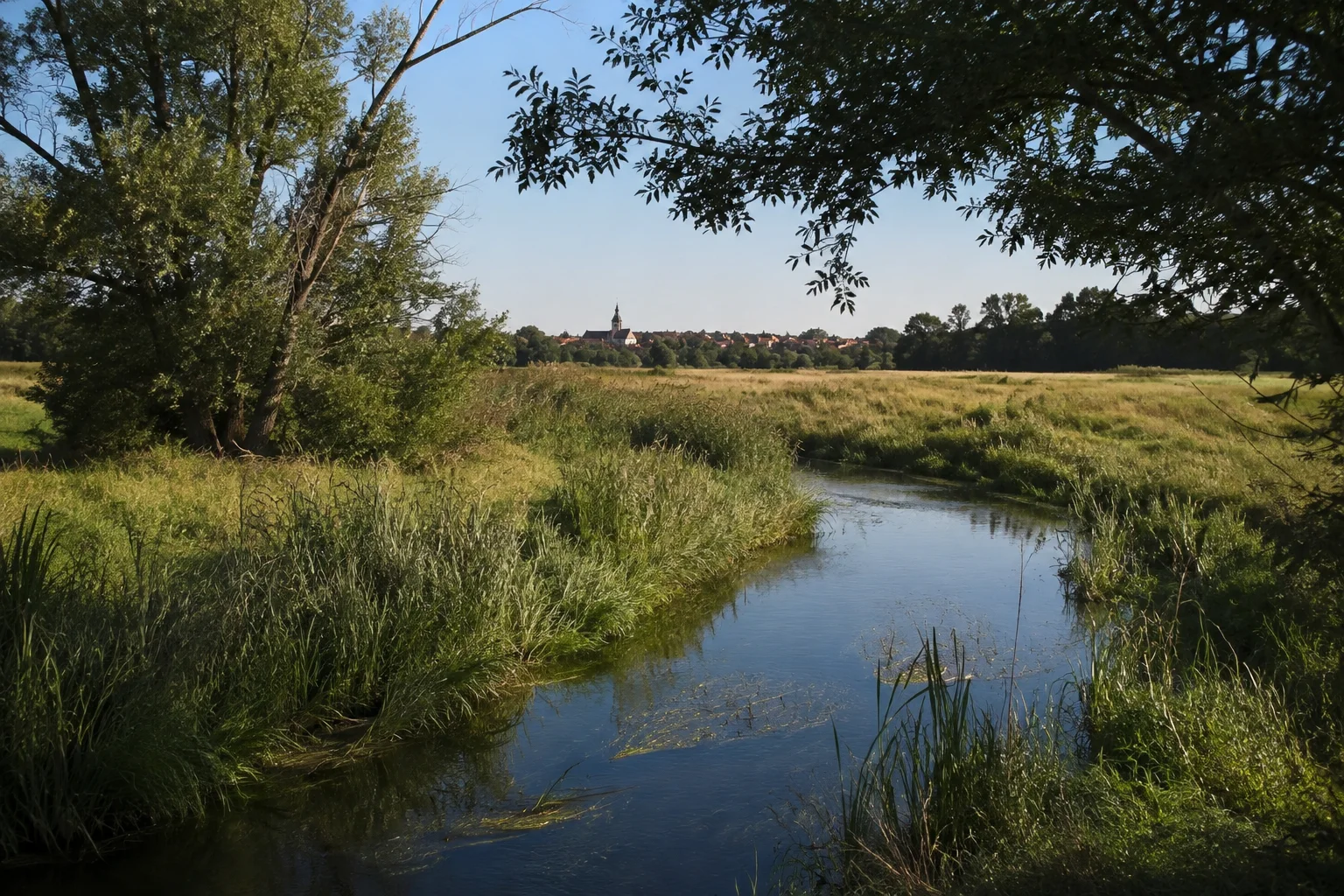 Wittstock/Dosse: Wittstock/Dosse: Wittstocker Dosseland: schmaler Bach zwischen flachen Wiesen und alten Laubbäumen vor entfernten Stadtdächern