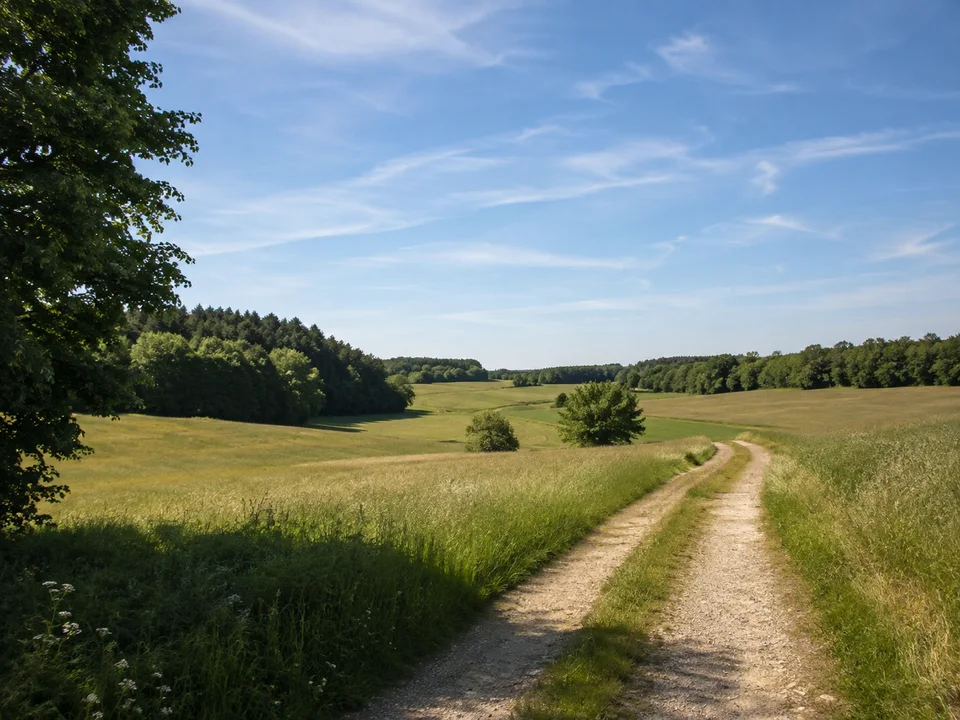 Auing in der Gemeinde Wörthsee: sanft wellige Wiesenflur mit Waldsäumen und Feldweg, kein See im Vordergrund