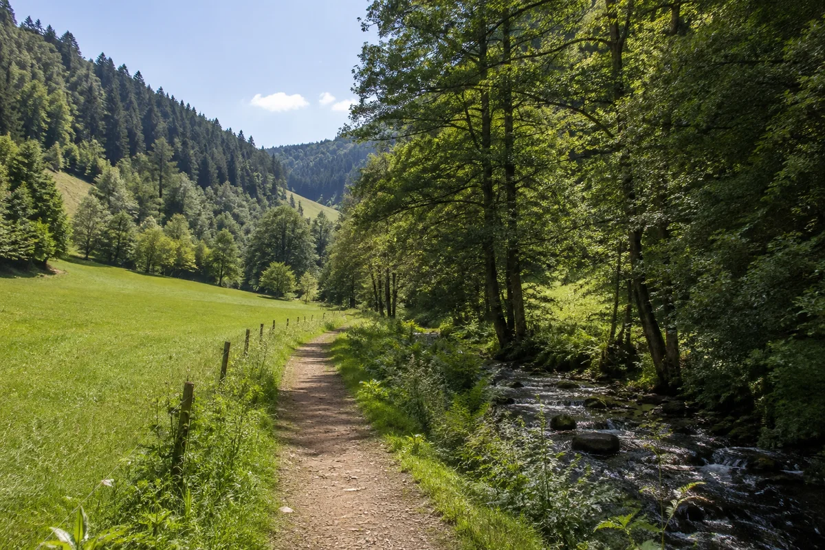Seitental mit Bach, schmalen Wiesen und verstreuten Schwarzwaldhöfen.