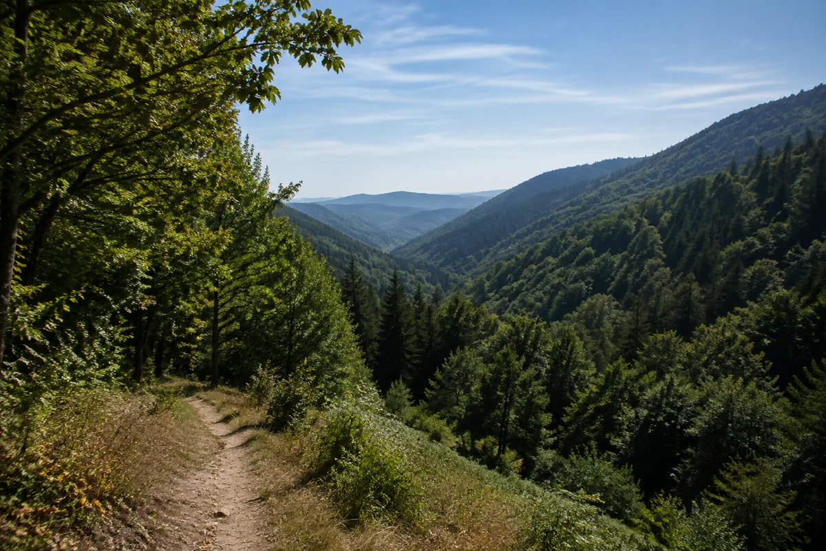 Wolfach: Wolfach: Talstadt an Wolf und Kinzig unter dicht bewaldeten Bergrücken.