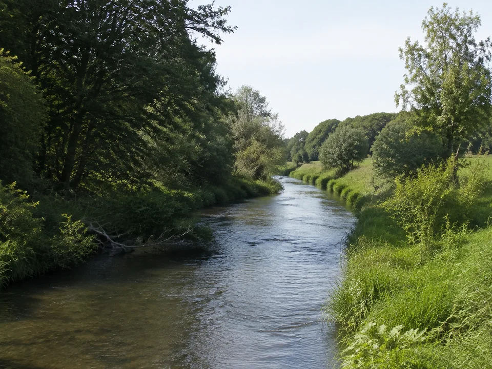Grüne Okerlandschaft am südlichen Wolfenbütteler Stadtrand mit schmalem Fluss und Ufergehölzen