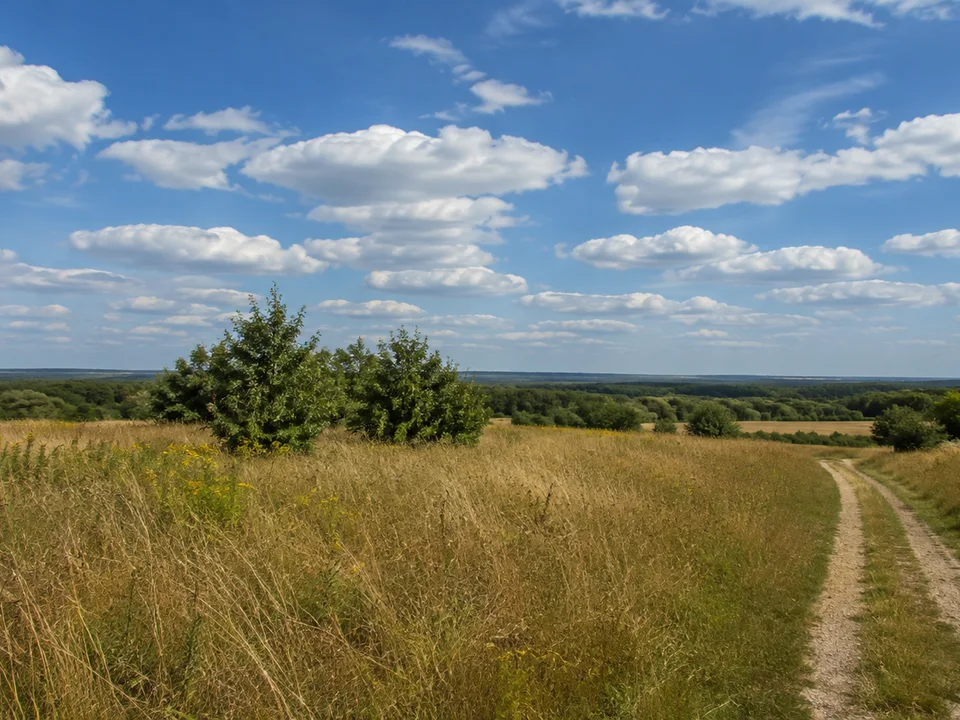 Offene Feldmark bei Fümmelse mit kleinen Gehölzen und weitem Himmel