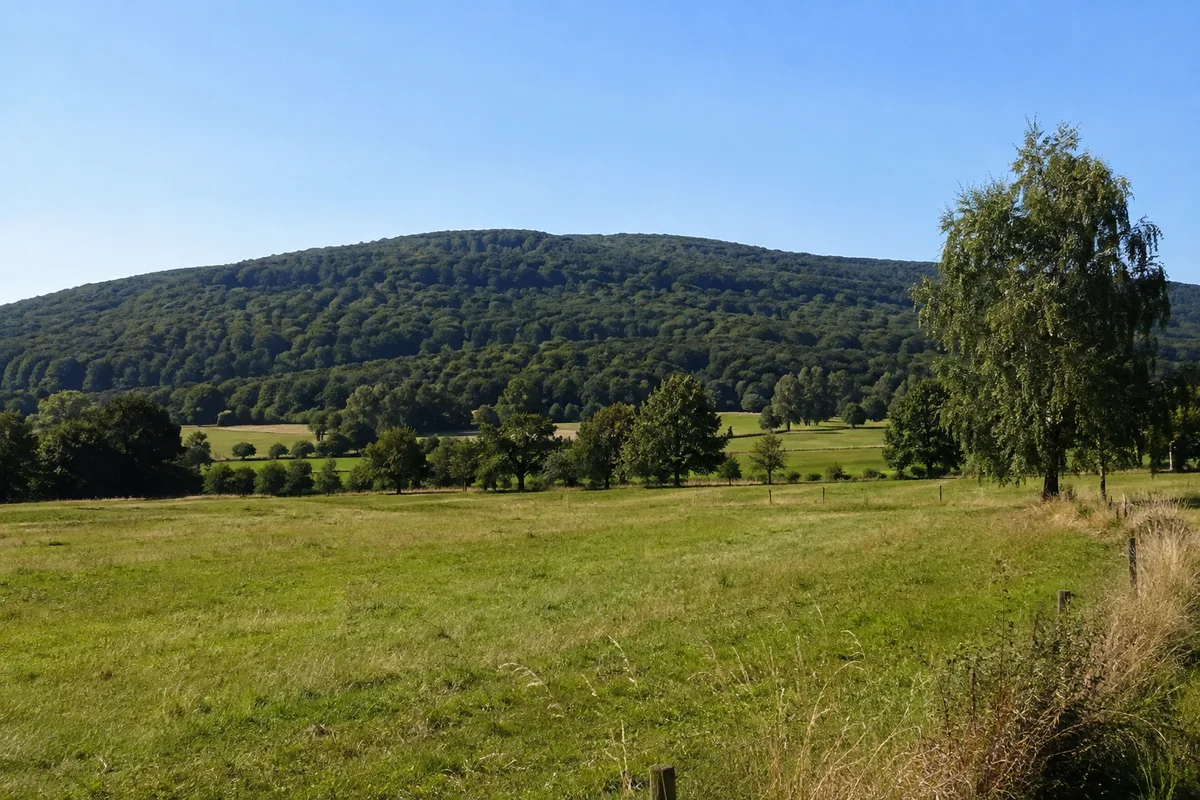 Ippinghausen: Weideland vor dem steilen bewaldeten Weidelsberg ohne sichtbare erfundene Burgdetails