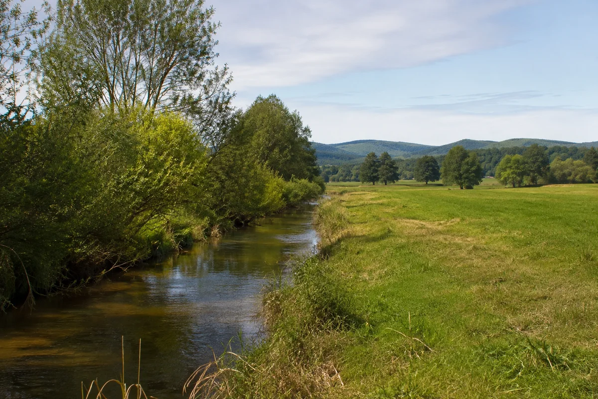 Wenigenhasungen: schmaler Erpebach mit Weidensaum und flachen Talwiesen