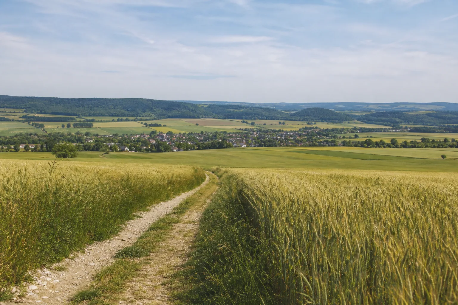 Wollersheim: Feldweg durch die offene Börde bei Wollersheim