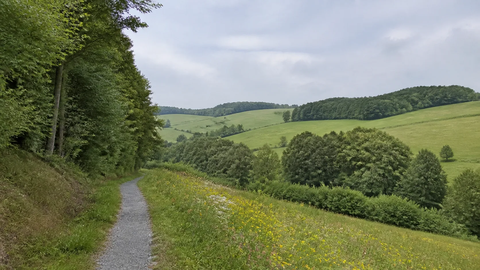 Rennefeld und Waldsäume