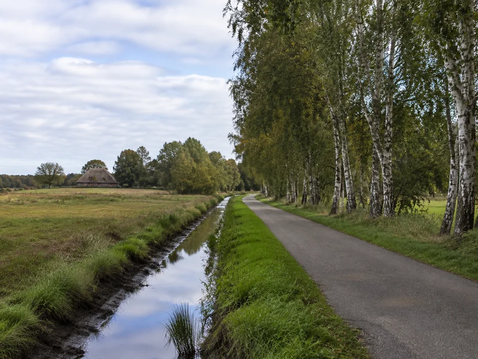 Schlußdorfer Moorlandschaft: Gerader schmaler Entwässerungsgraben neben ruhigem ländlichen Weg, Birkenreihen und ein fernes niedriges reetgedecktes Bauernhaus