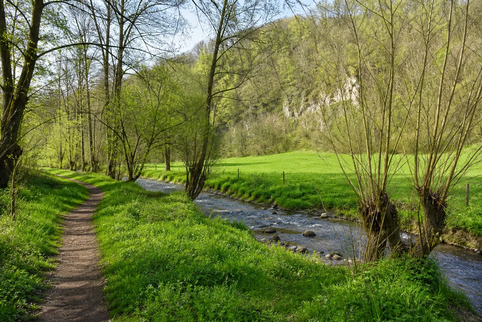 Wiesenweg im Düsseltal