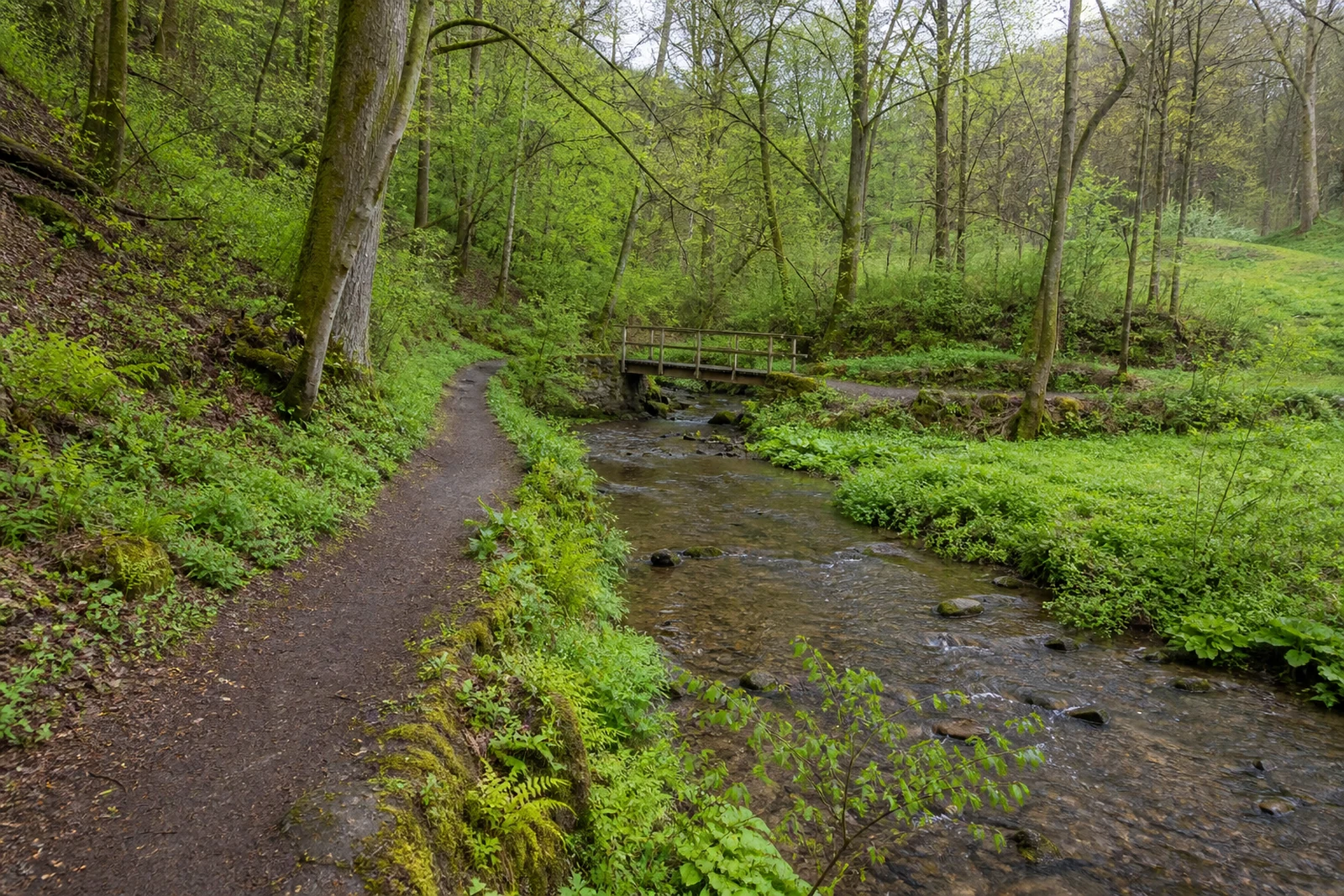 Wanderweg an der Gelpe in Wuppertal