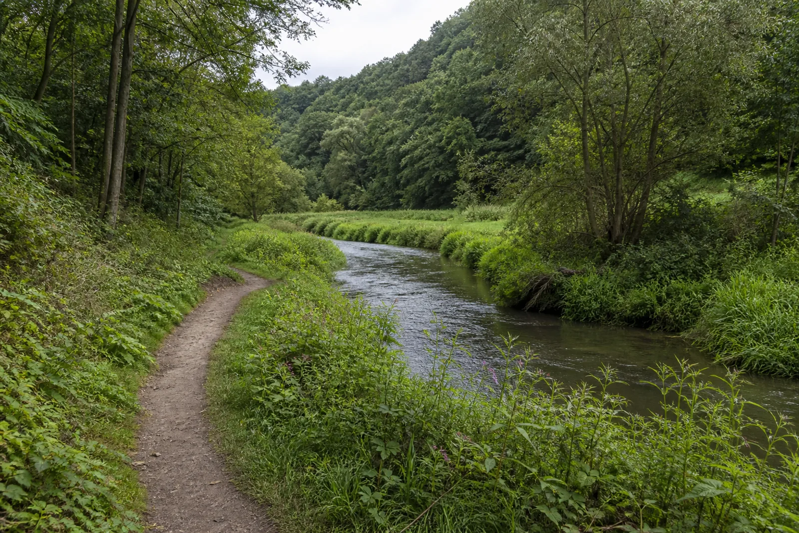 Waldiger Flussweg im Wurmtal
