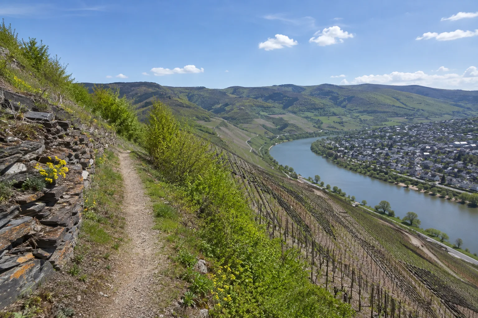 Zeller Schleife: Weinbergpfade über dem Fluss