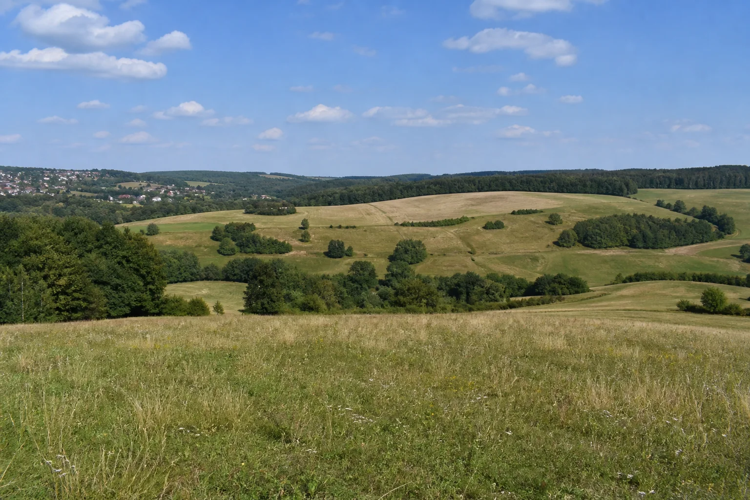 Zeulenroda-Triebes: Zeulenrodaer Höhen: weite wellige Wiesenlandschaft mit kleinen Waldstücken ohne dominierenden Stausee