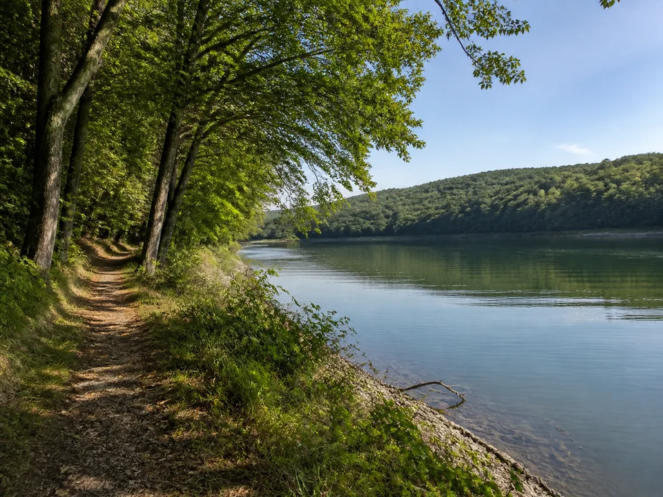 Uferwald bei Quingenberg: Weg unter Laubbäumen neben ruhiger Wasserfläche mit flachen bewaldeten Gegenhängen